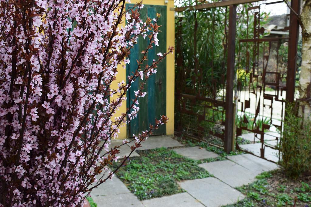 Agriturismo Casa De Colores Moretta Exteriör bild